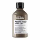 Champú Absolut Repair Molecular 300ml